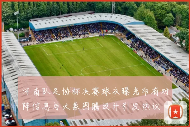 河南队足协杯决赛球衣曝光印有对阵信息与大象图腾设计引发热议