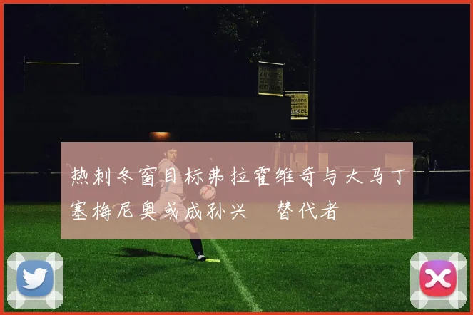 热刺冬窗目标弗拉霍维奇与大马丁塞梅尼奥或成孙兴慜替代者