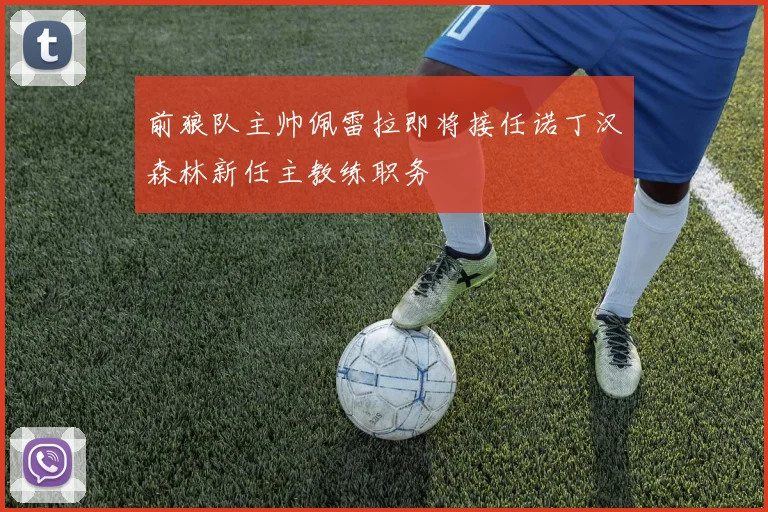 前狼队主帅佩雷拉即将接任诺丁汉森林新任主教练职务